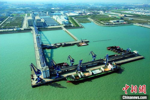 上海边检开辟查验绿色通道，助力入境粮油民生物资高效中转仓储